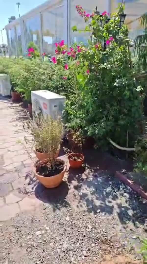 Book an appointment to organize outdoor gardens image 1