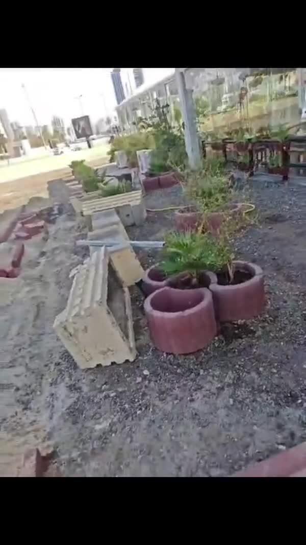 Garden organization image 5