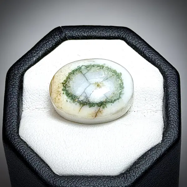 Natural Moss Agate Yemen 13.65 ct. image 0