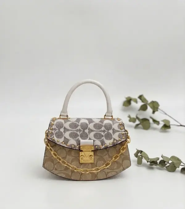 bag 013325 image 0