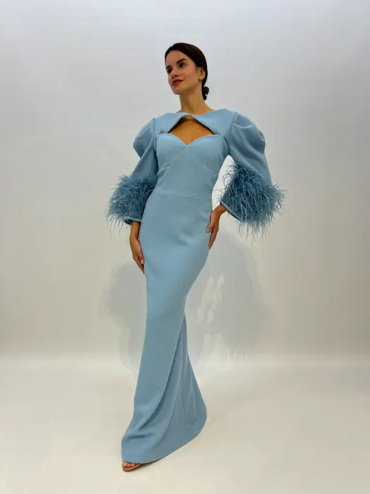 Evening long dress image 0