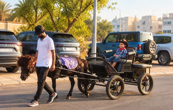 Modern Carriage Ride image 2