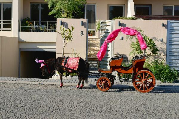 Classic Carriage  image 2