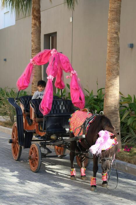 Classic Carriage  image 3