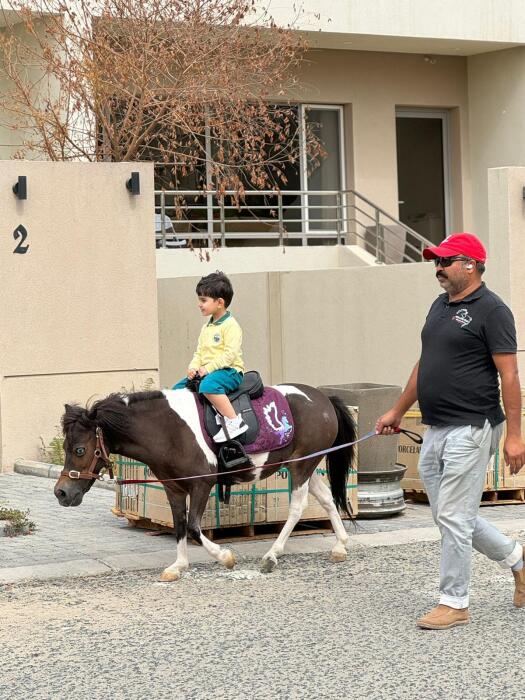 Pony Ride image 3