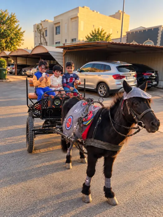 Modern Carriage Ride image 3