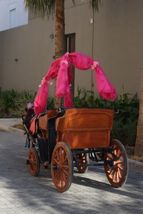 Classic Carriage  image 4