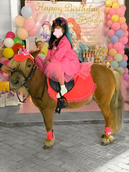 Pony Ride image 5