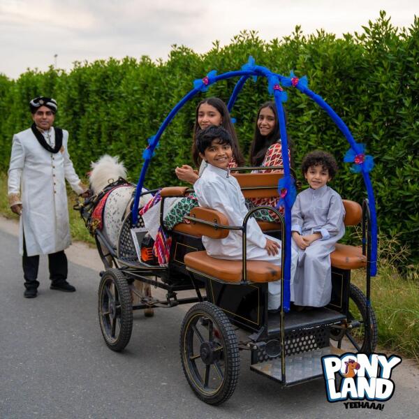 Modern Carriage Ride image 4