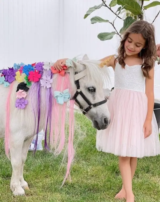Pony Salon & Spa image 0