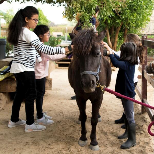 Pony Salon & Spa image 2
