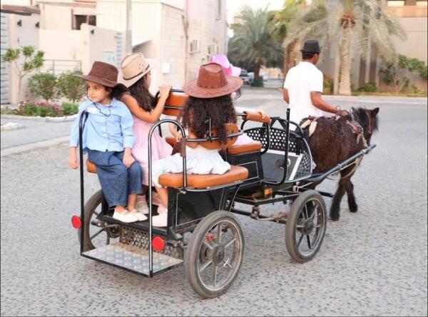 Modern Carriage Ride image 5