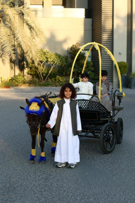 Modern Carriage Ride image 6