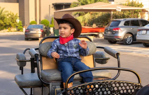 Modern Carriage Ride image 5