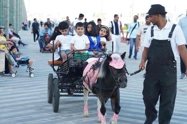 Carriage and Ride image 2