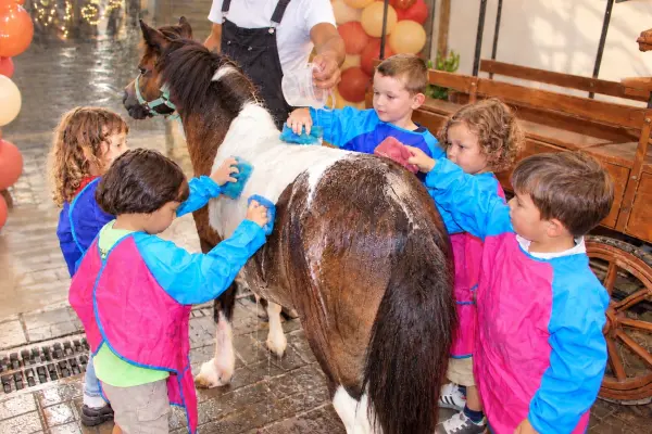 Pony Shower image 1