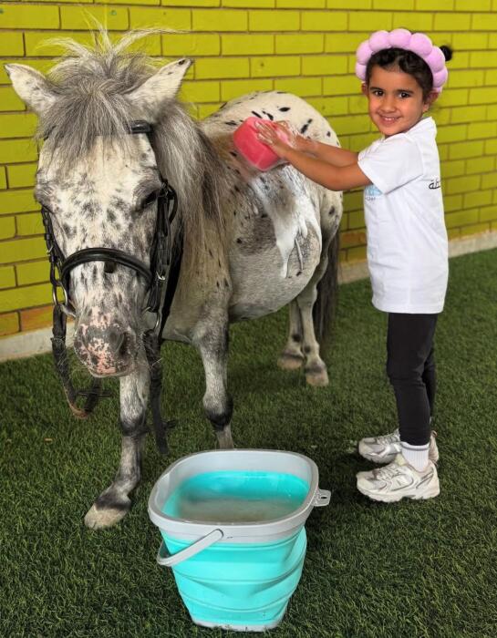 Pony Shower image 0