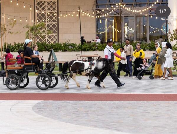 Modern Carriage Ride image 2