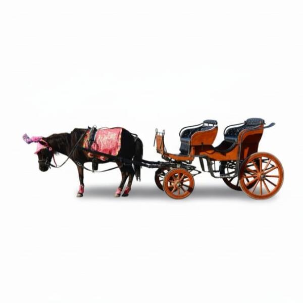Classic Carriage  image 1