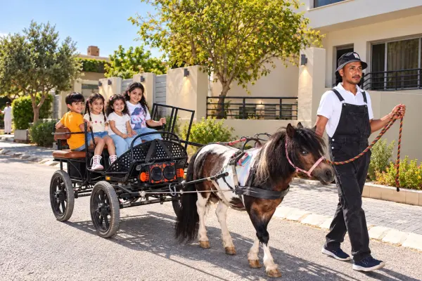 Modern Carriage Ride image 1