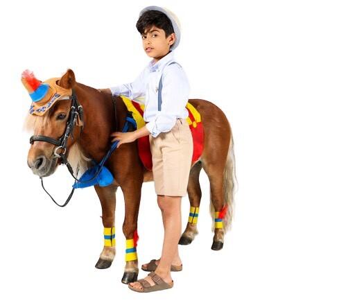 Pony Ride image 2