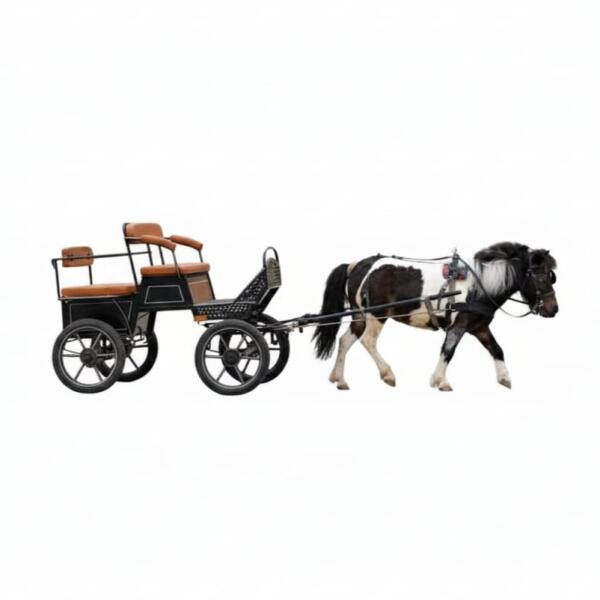 Modern Carriage Ride image 1