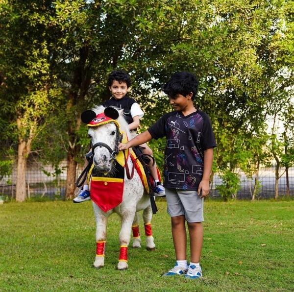 Pony Ride image 0