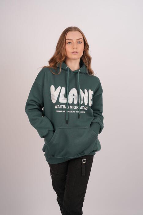 HDV Hoodie image 6