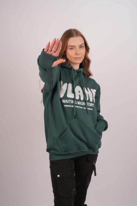 HDV Hoodie image 5