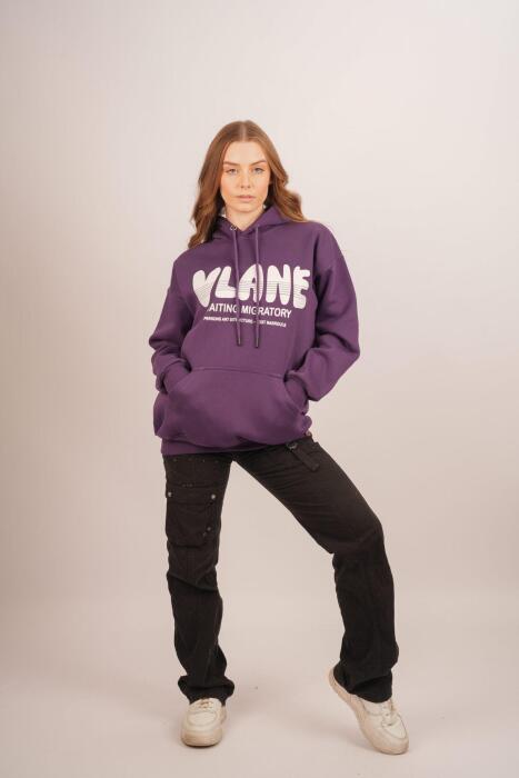 HDV Hoodie image 11