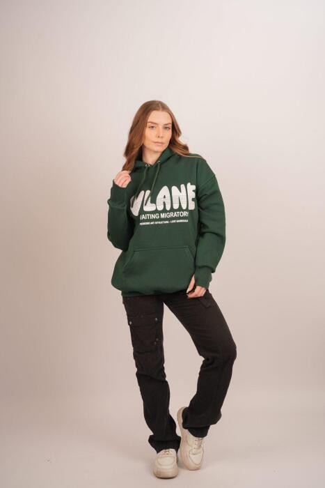 HDV Hoodie image 10