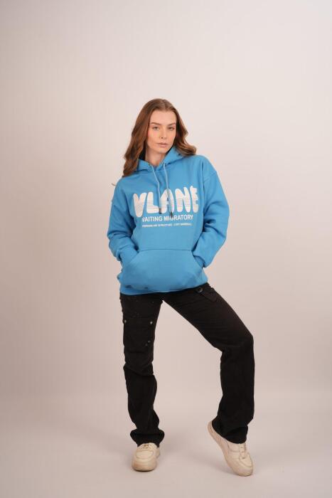 HDV Hoodie image 20