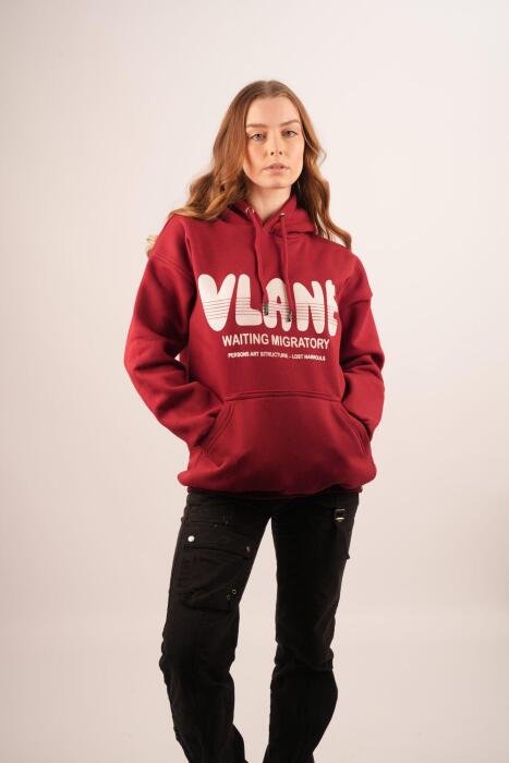 HDV Hoodie image 15