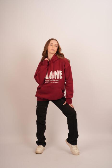 HDV Hoodie image 16