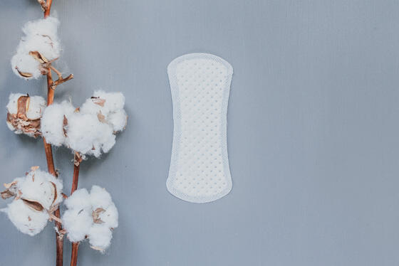 CURVED PANTY LINER  image 1