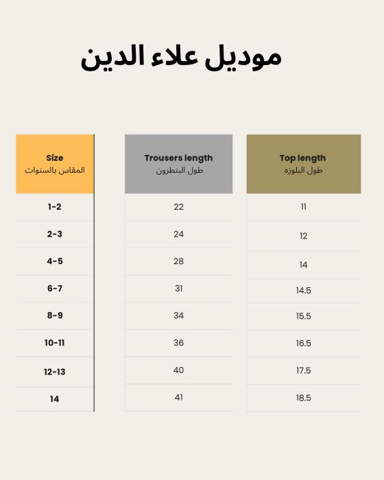 علاء الدين image 3