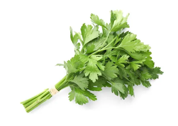 سبانخ image 0