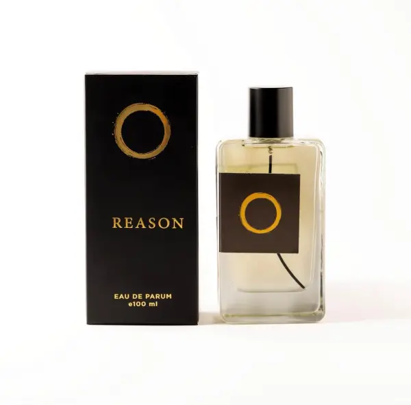 REASON RUNE image 0