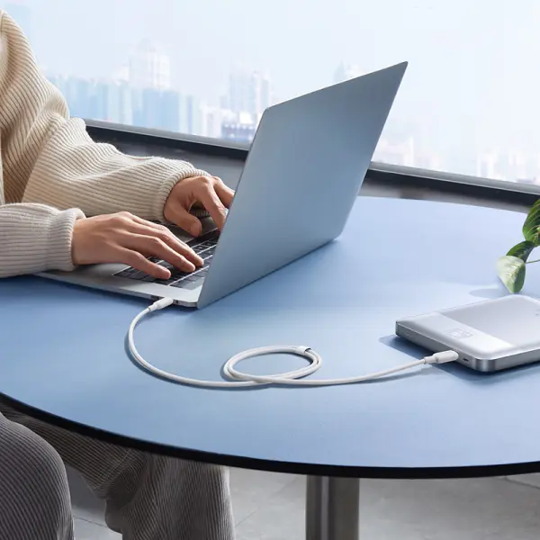 Baseus Silky Series Fast Charging Cable Type-C to Type-C 100W 1m Moon White image 4