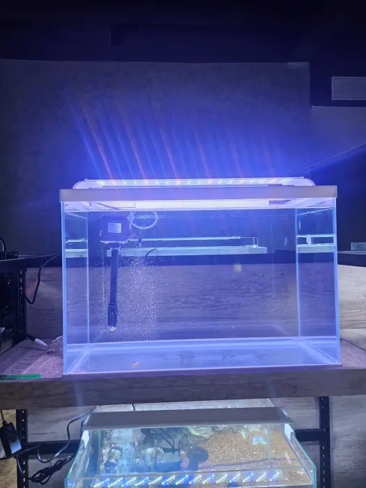 حوض أسماك زجاجي فاخر مزود بإضاءة LED وفلتر (55*27*37) image 0