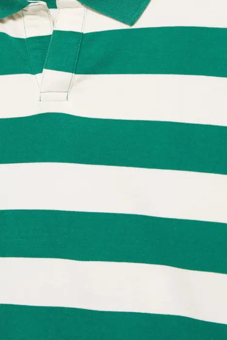 STWD STRIPPED POLO T-SHIRT  image 4