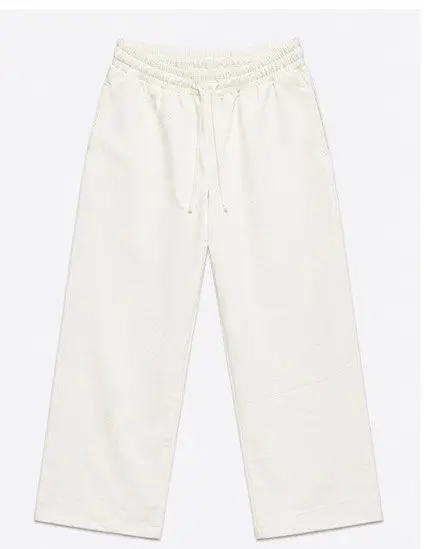 ZARA TESLA PANT image 1