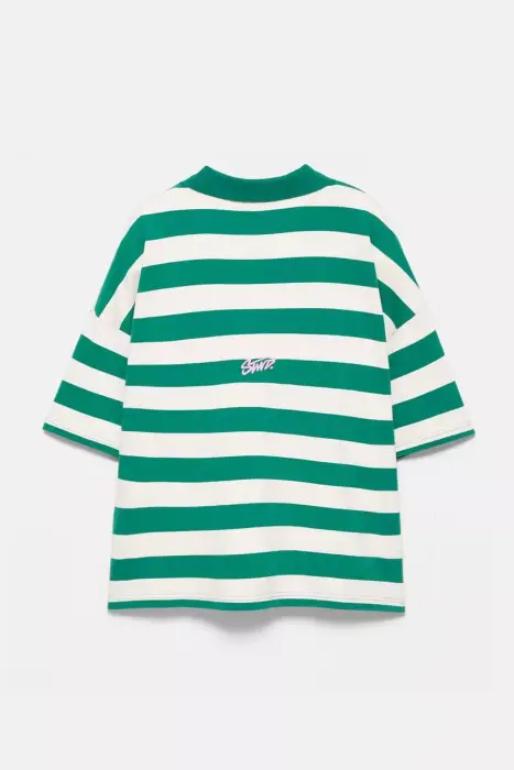 STWD STRIPPED POLO T-SHIRT  image 6
