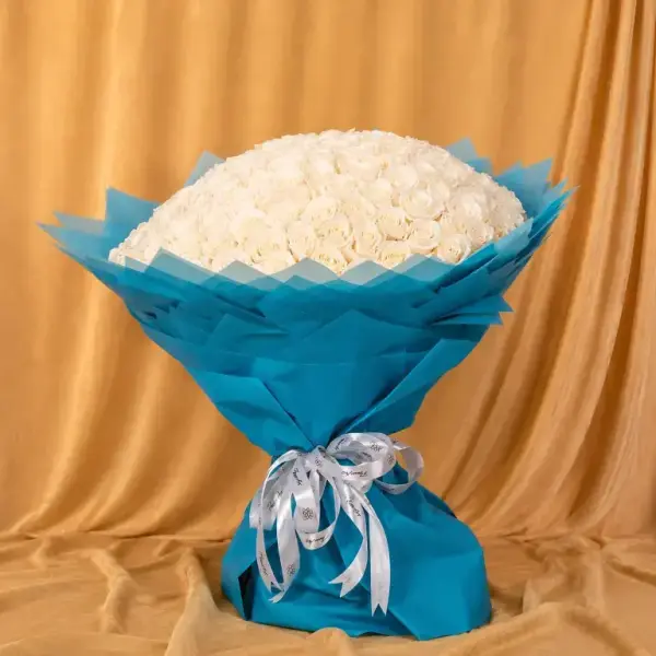 Biibi image 0