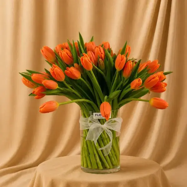Rinad image 0