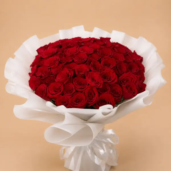 دانا image 0
