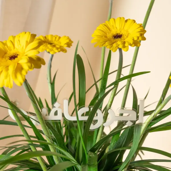 يسرى image 1