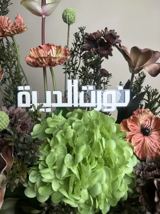 نورت الديرة image 2