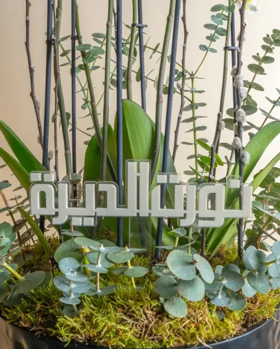 بدرية image 1