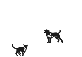 Pets Home